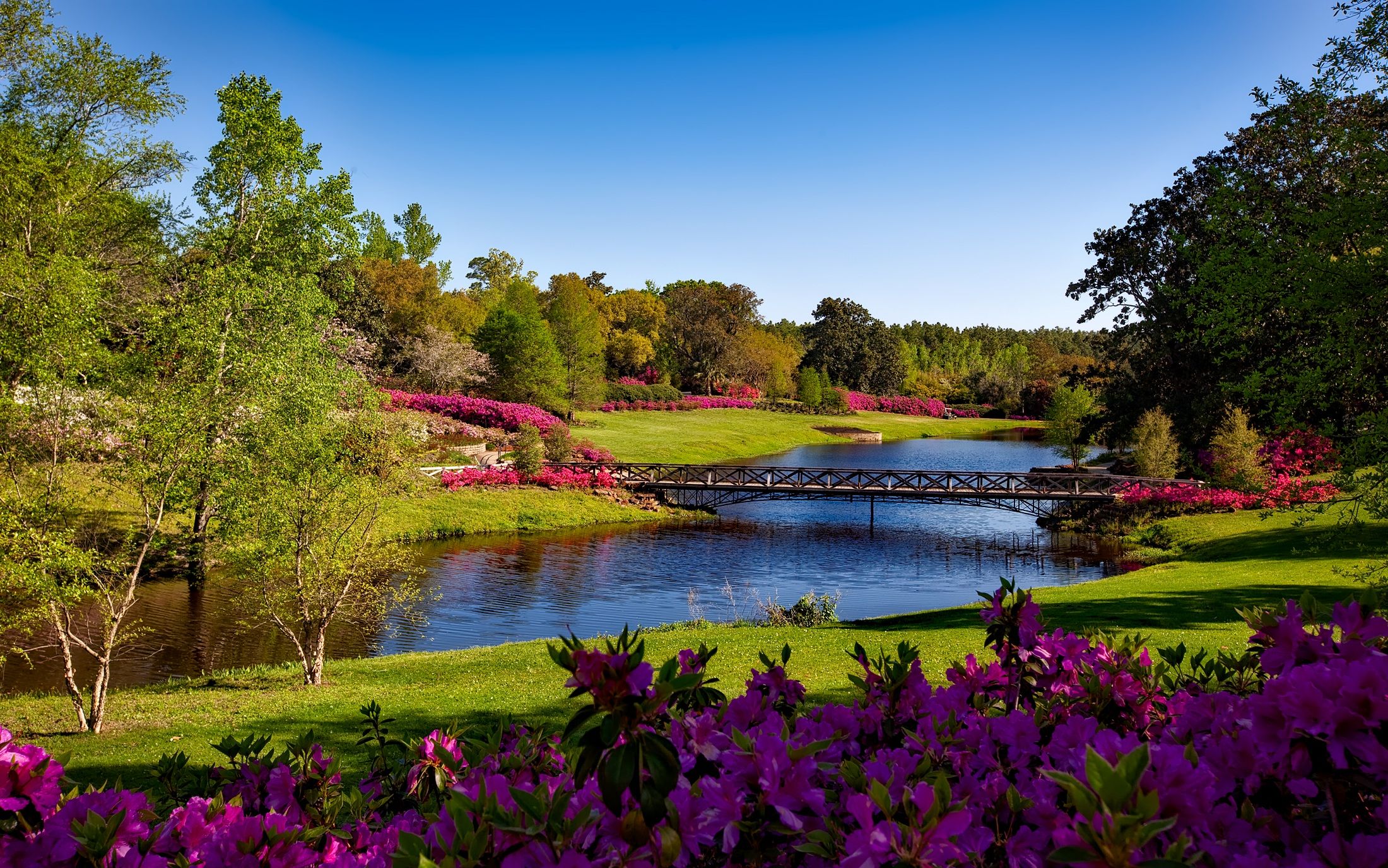 Manicured lawns, borders and grounds